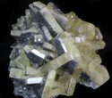 Gemmy, Yellow Barite Crystals - Meikle Mine, Nevada #33711-3